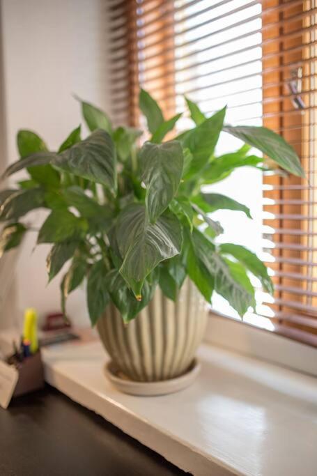 A Lovely Apartment Near Railway Station And Arena. Tampere Bagian luar foto
